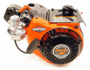 Briggs LO206 Engine - Complete
